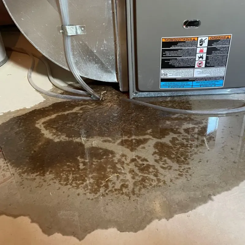 Pipe Burst and Leak Restoration in West Lafayette, IN